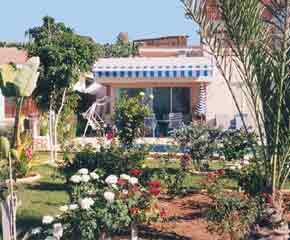 Cyprus Villa garden
