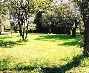 Grasse Villa gardens