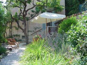 cannes villa garden