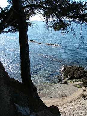 beach