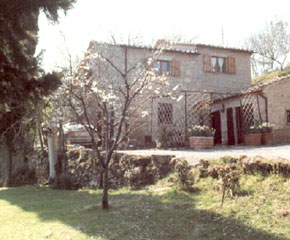 Rear view