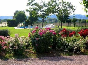 Umbria villa holiday 1518