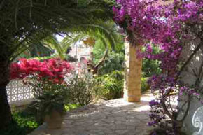 Benidorm villa gardens