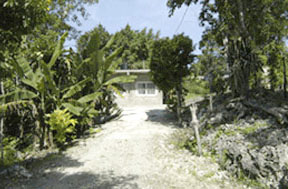 Negril Villa