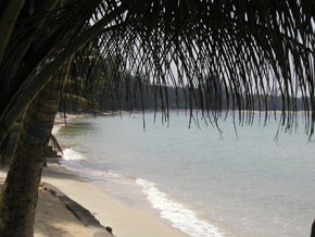 Beach front villa Koh Samui