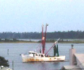 View from porch 