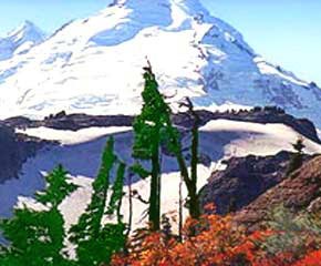 Mt Baker Mountain